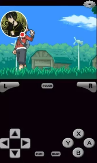NDS Boy 4.8.4