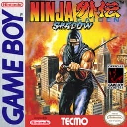 Ninja Gaiden Schatten